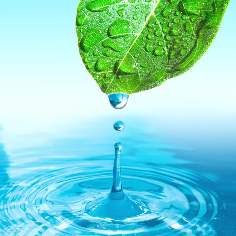 The green textile care