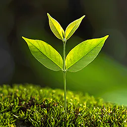 Nachhaltige Produktprogramme